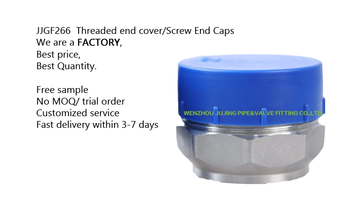 Factory Direct Sale Threaded End Cover